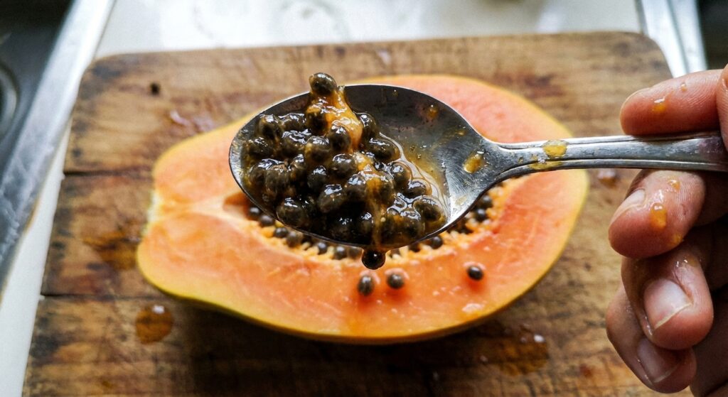 semillas papaya